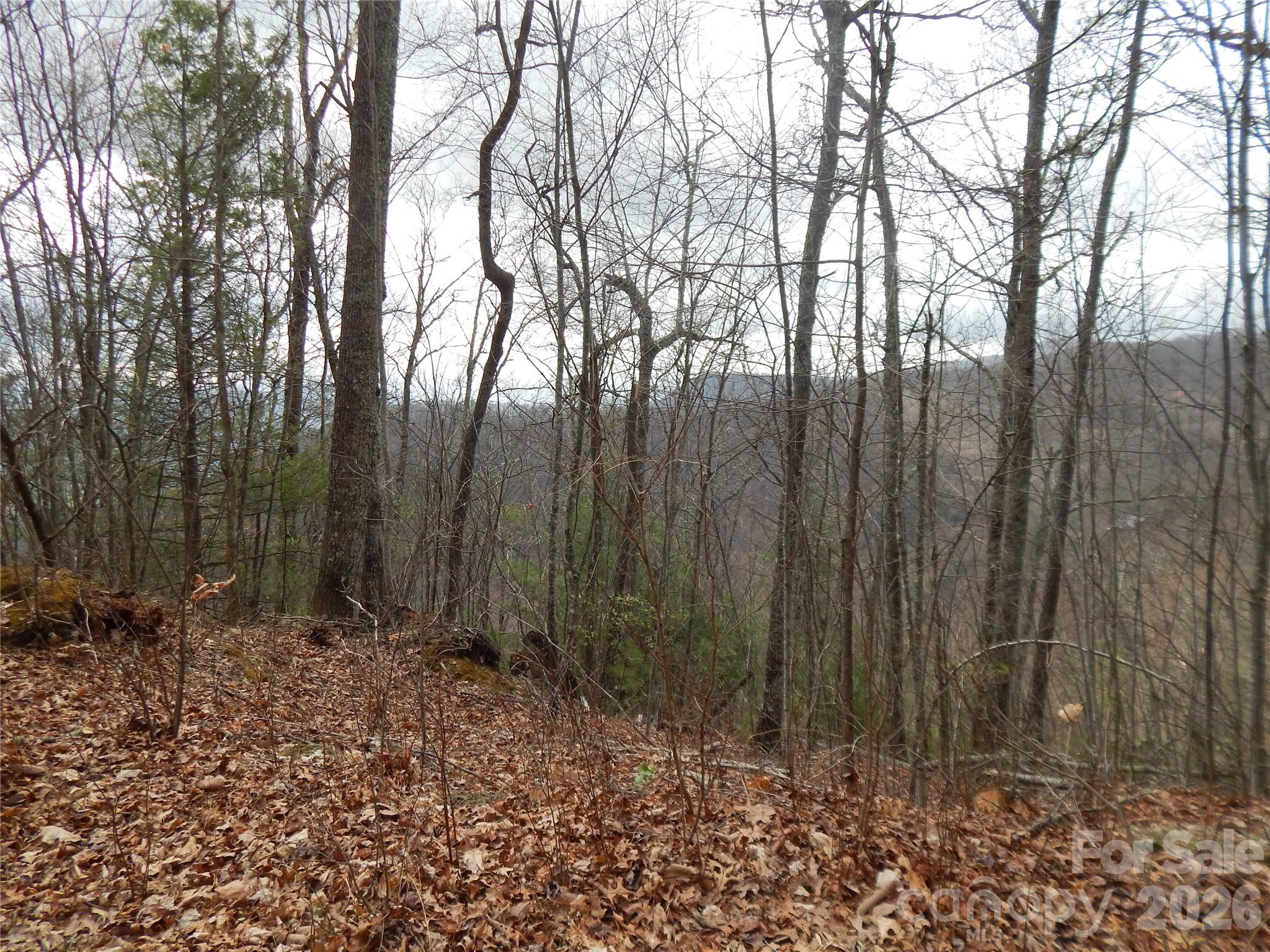 5 Sigogglin Trail Waynesville NC 28785