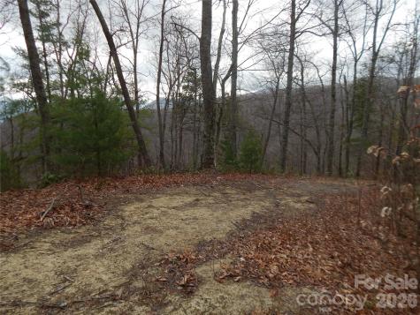 5 Sigogglin Trail Waynesville NC 28785