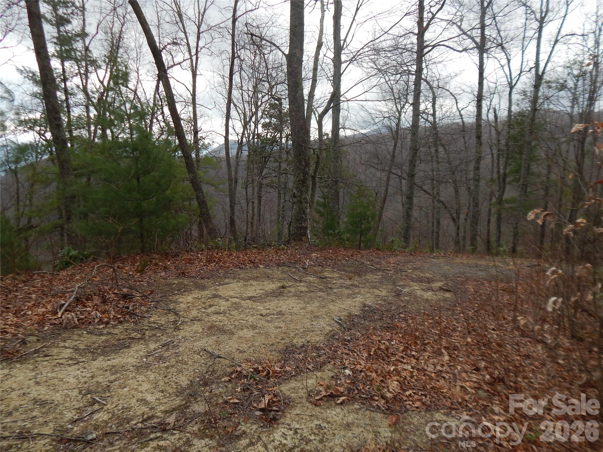 5 Sigogglin Trail Waynesville NC 28785