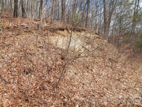 5 Sigogglin Trail Waynesville NC 28785