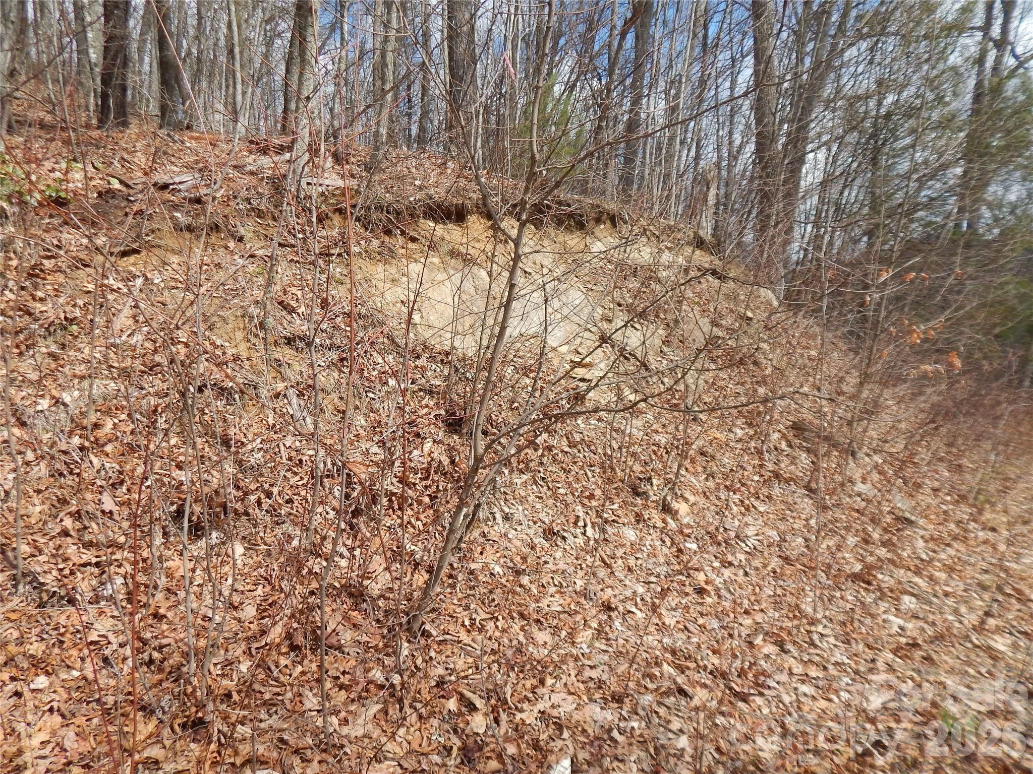 5 Sigogglin Trail Waynesville NC 28785