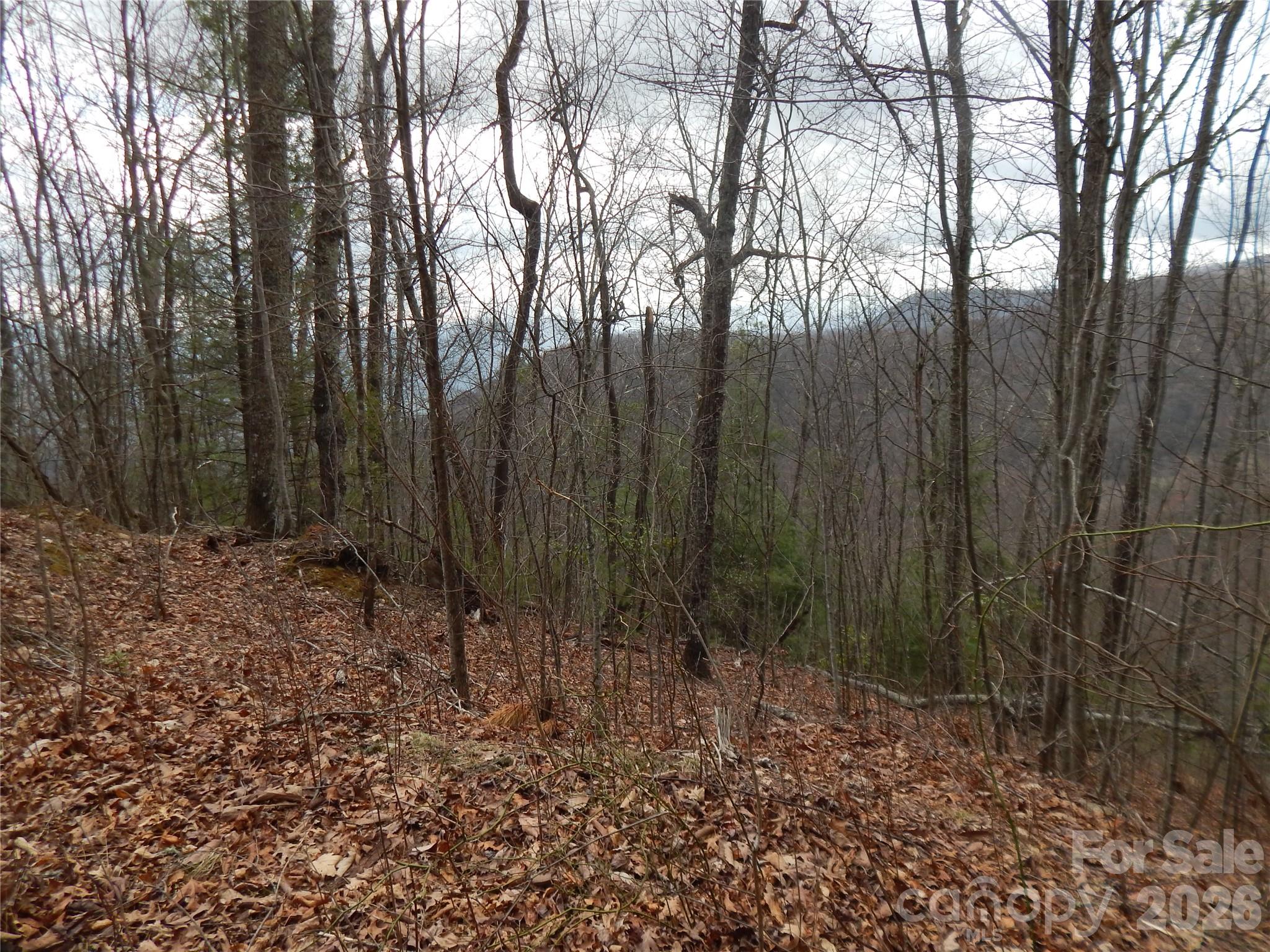 5 Sigogglin Trail Waynesville NC 28785