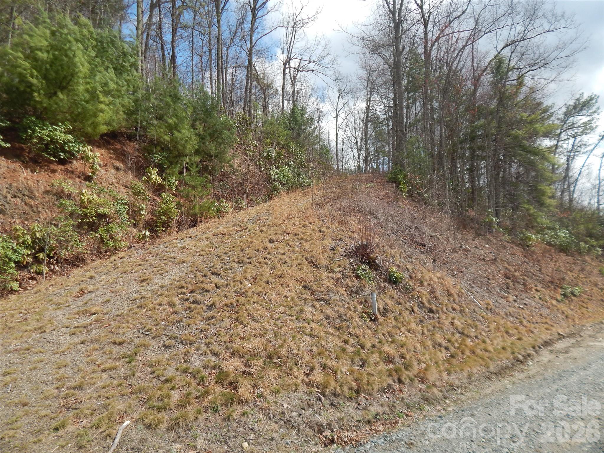 5 Sigogglin Trail Waynesville NC 28785
