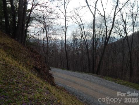 5 Sigogglin Trail Waynesville NC 28785