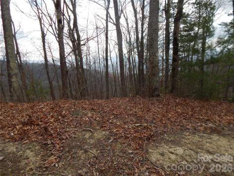 5 Sigogglin Trail Waynesville NC 28785