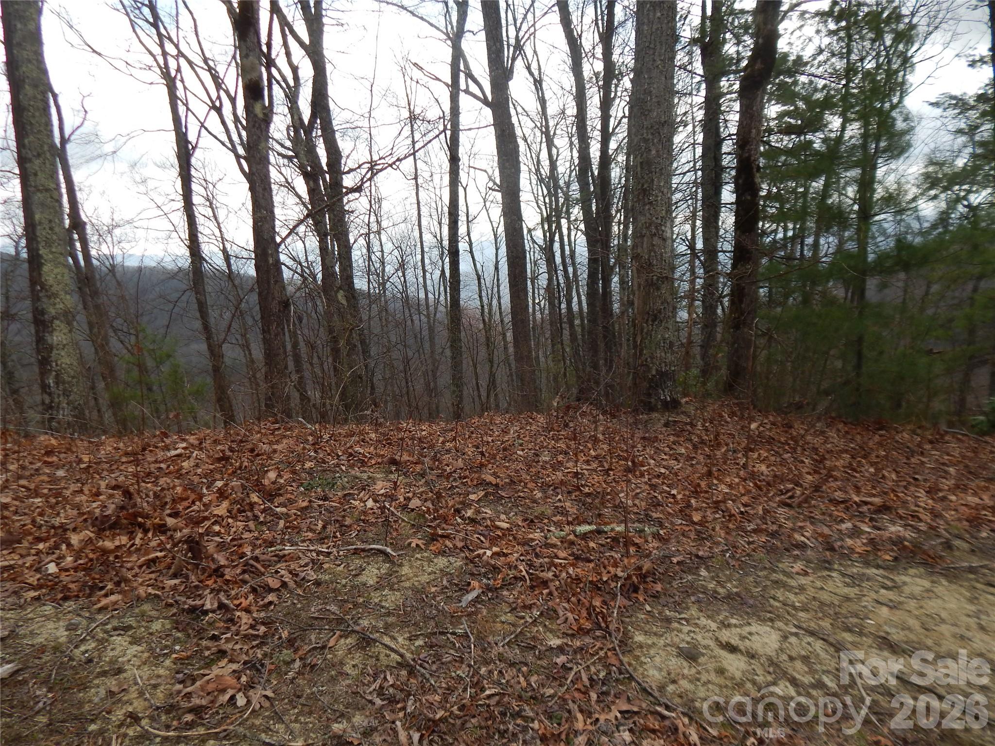5 Sigogglin Trail Waynesville NC 28785