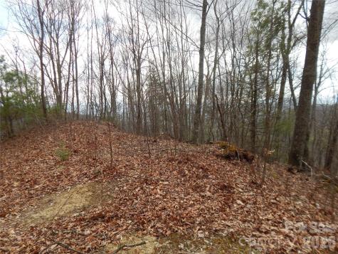 5 Sigogglin Trail Waynesville NC 28785