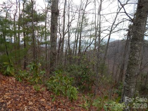 5 Sigogglin Trail Waynesville NC 28785