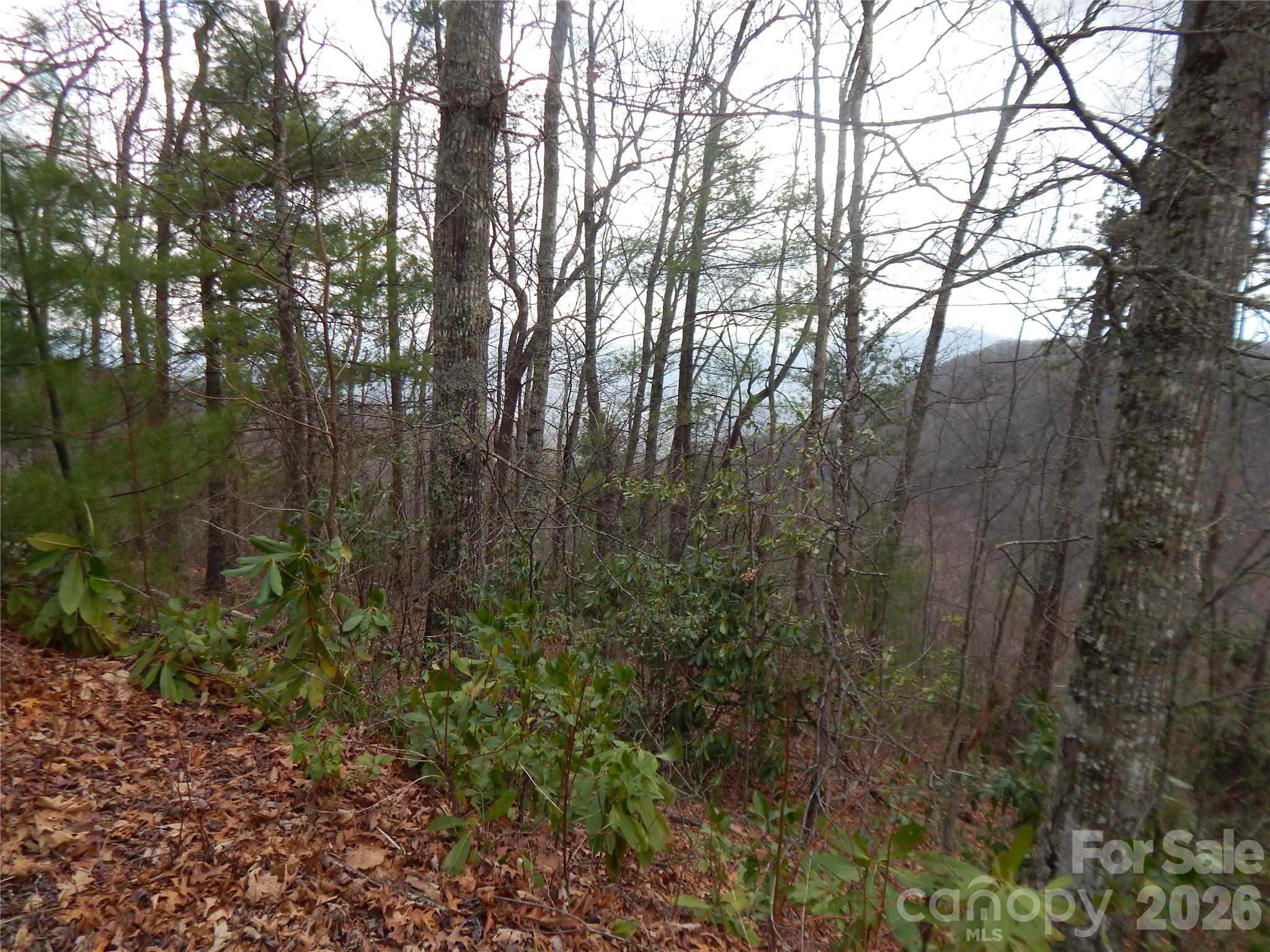 5 Sigogglin Trail Waynesville NC 28785