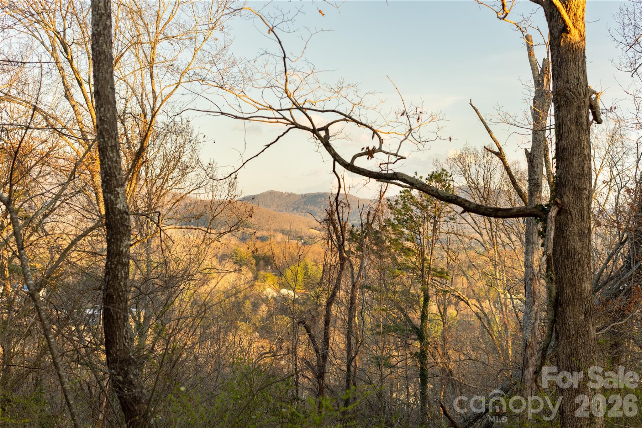 9999 Weaver Hill Road Asheville NC 28805