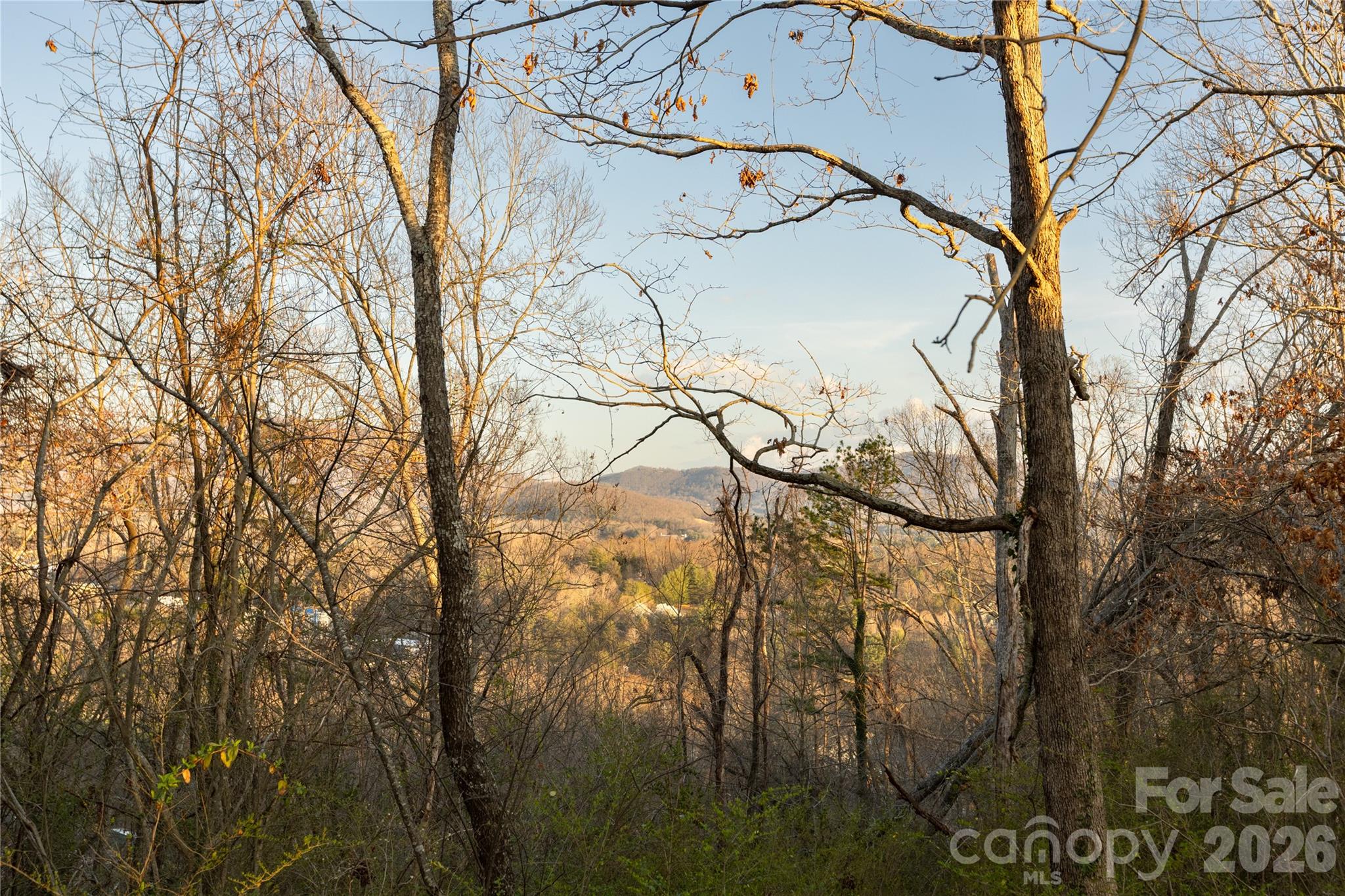 9999 Weaver Hill Road Asheville NC 28805