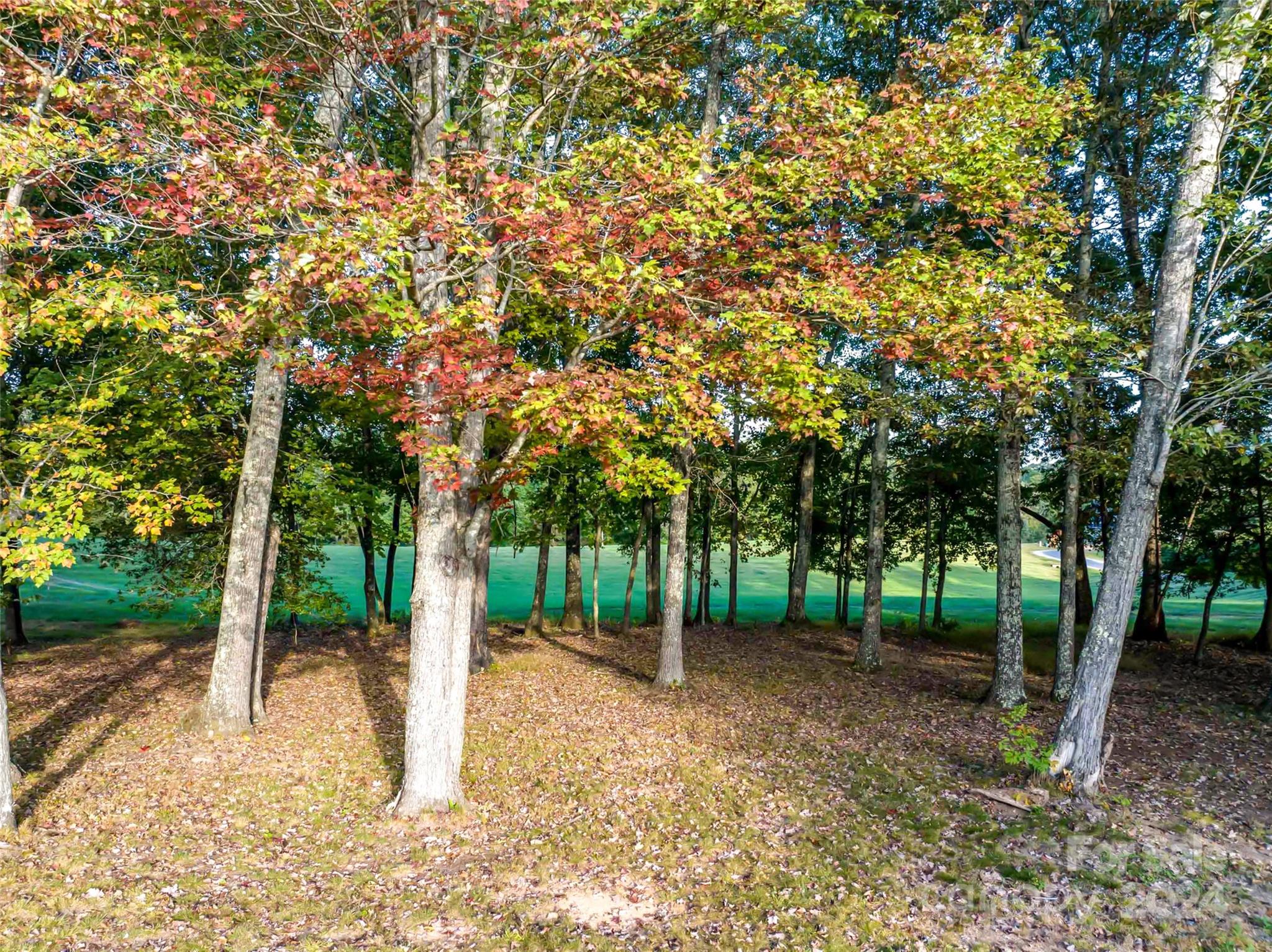 365 Chukar Way Fletcher NC 28732