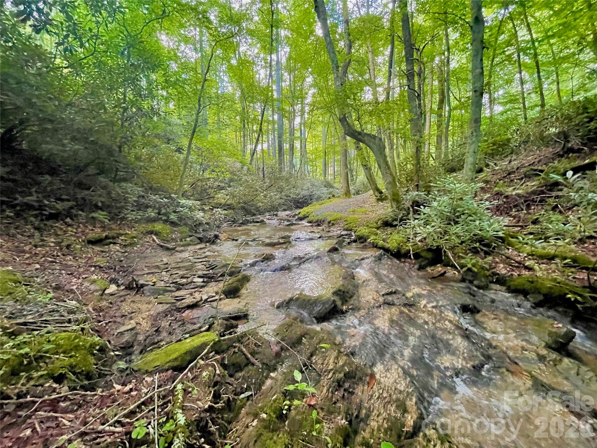 #203 Thunderhill Trail Blowing Rock NC 28605