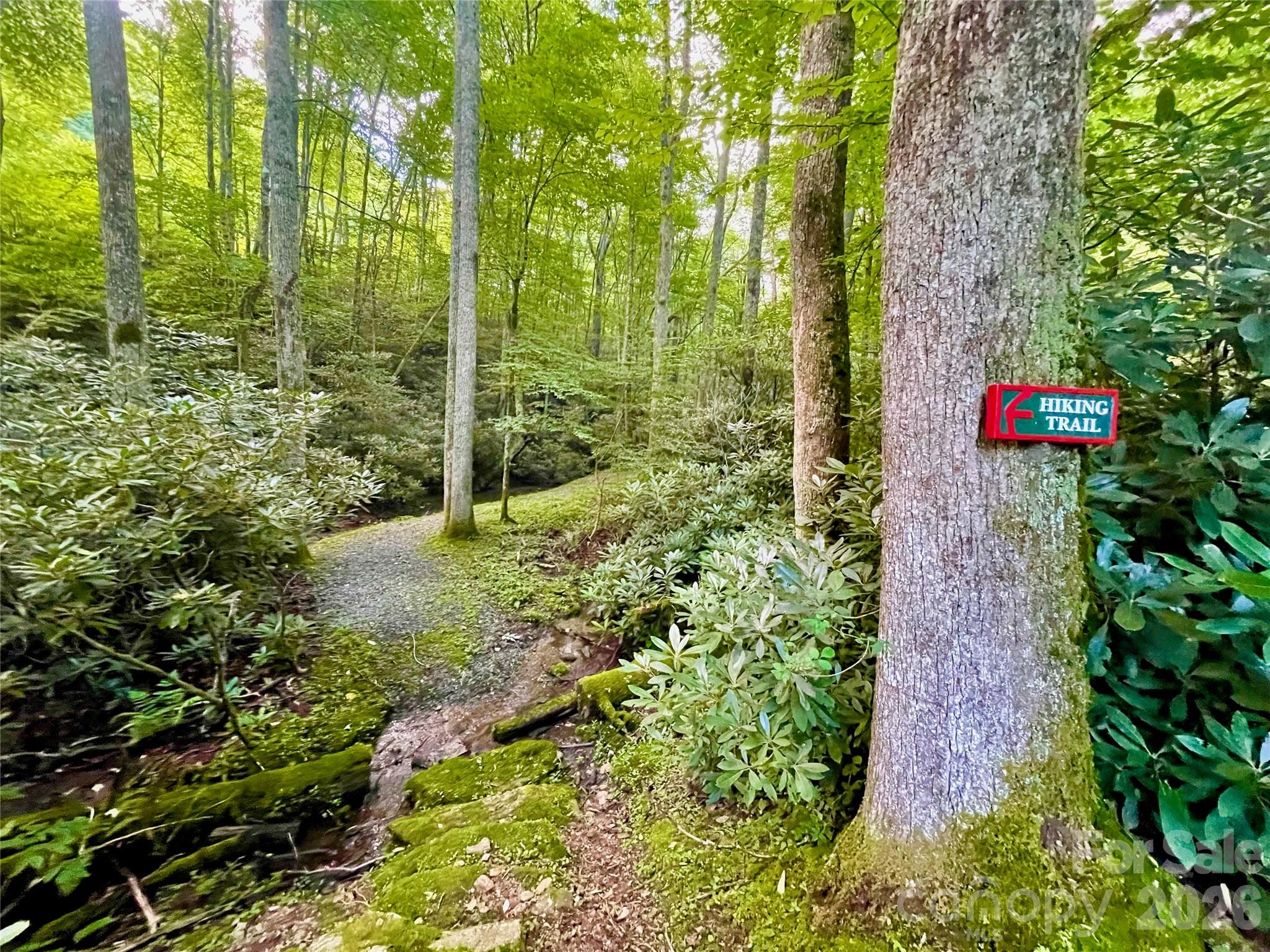 #203 Thunderhill Trail Blowing Rock NC 28605