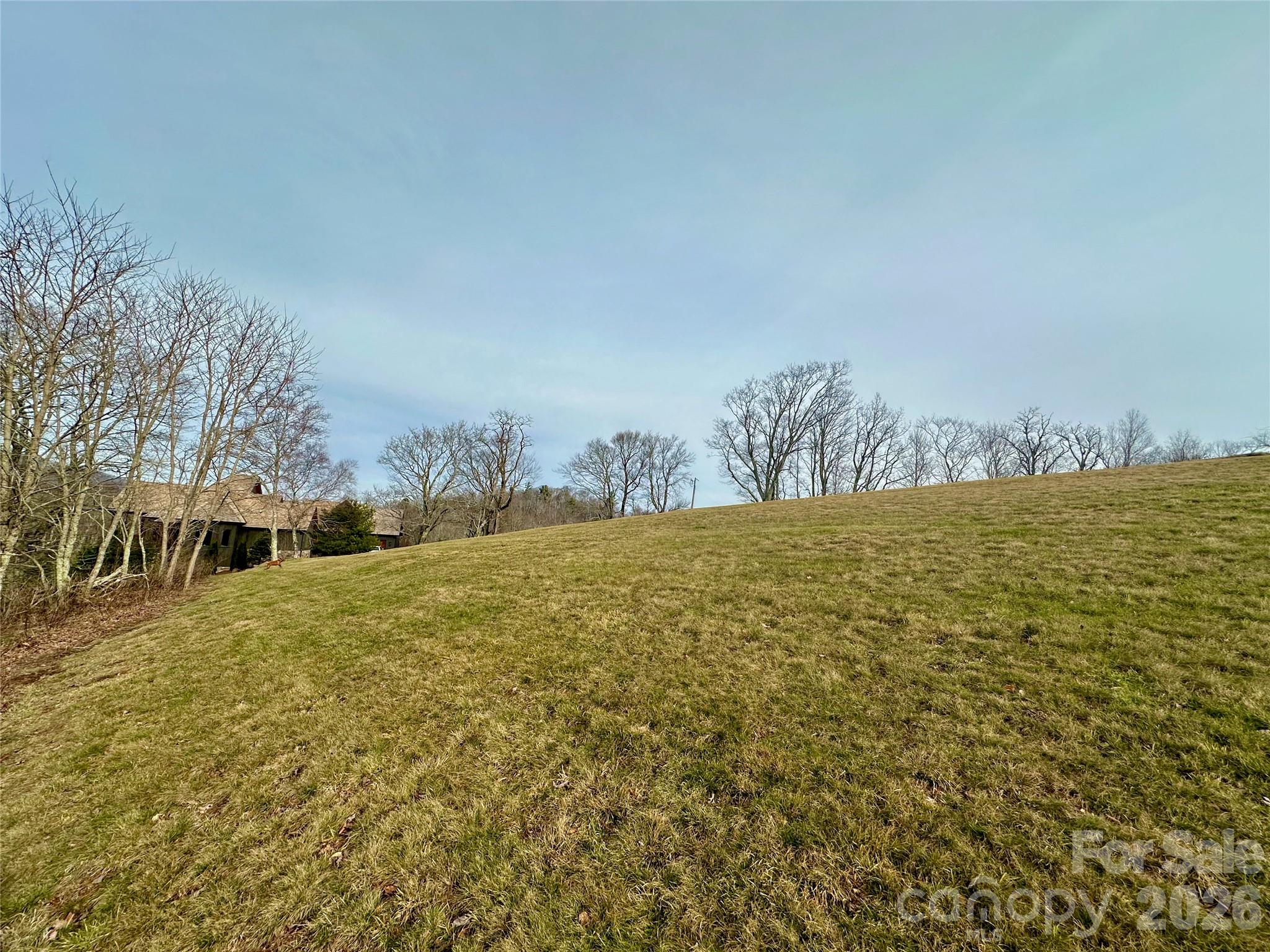 #203 Thunderhill Trail Blowing Rock NC 28605