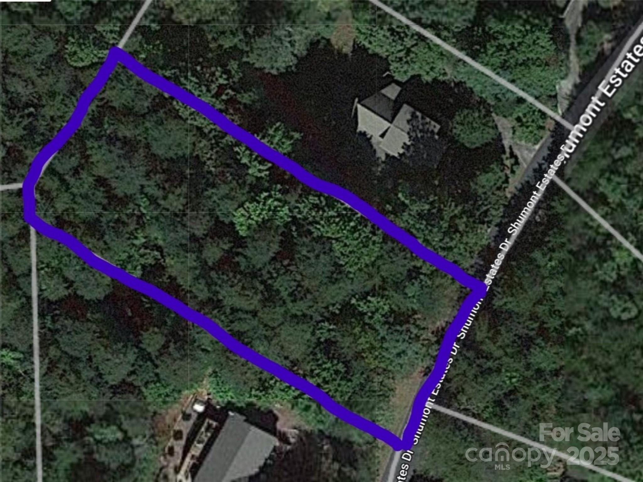 Lot 102 Shumont Estates Drive Lake Lure NC 28746