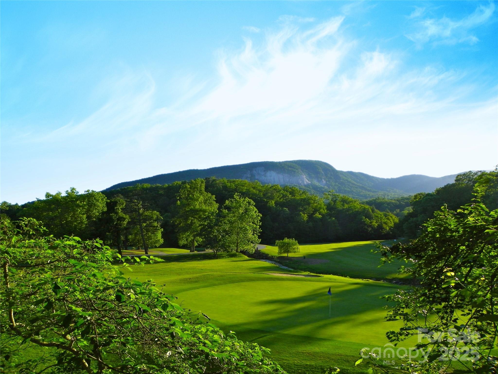 Lot 102 Shumont Estates Drive Lake Lure NC 28746