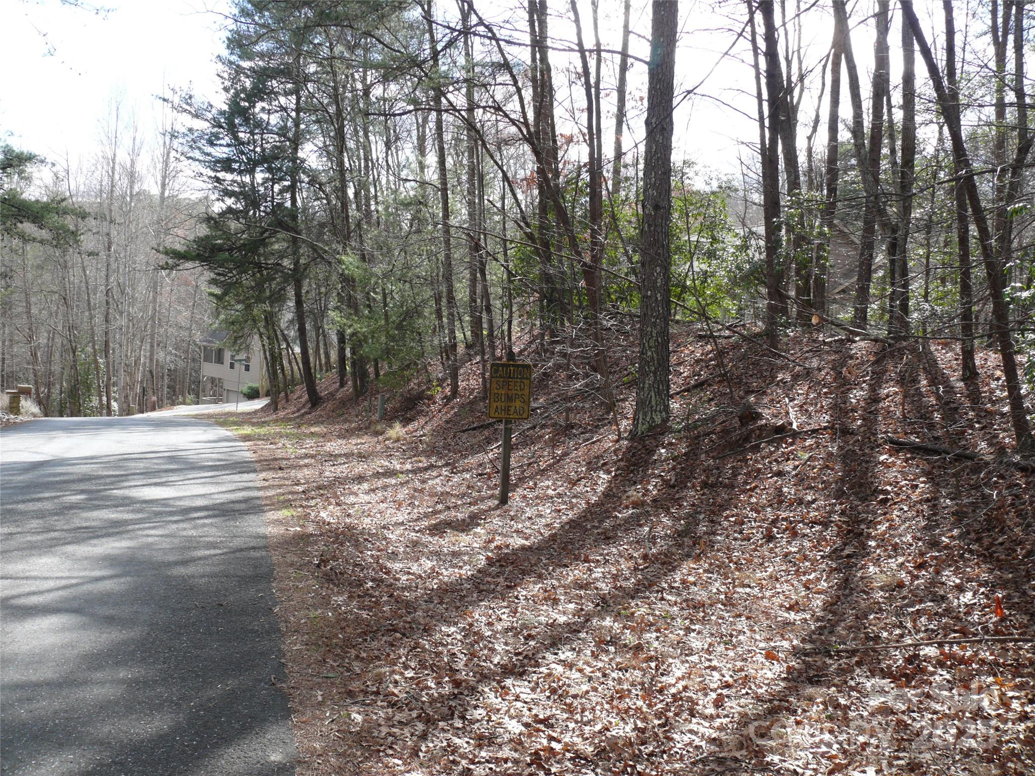 Lot 102 Shumont Estates Drive Lake Lure NC 28746