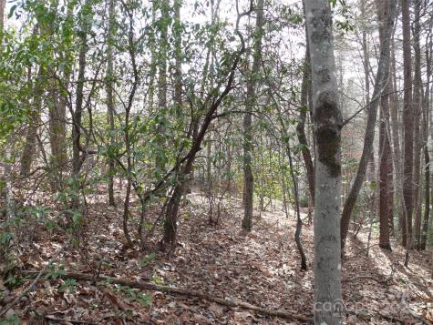 Lot 102 Shumont Estates Drive Lake Lure NC 28746