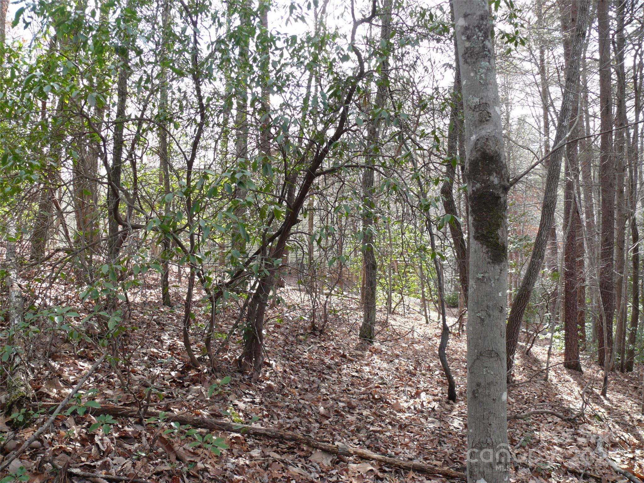 Lot 102 Shumont Estates Drive Lake Lure NC 28746