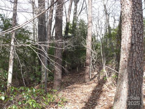 Lot 102 Shumont Estates Drive Lake Lure NC 28746