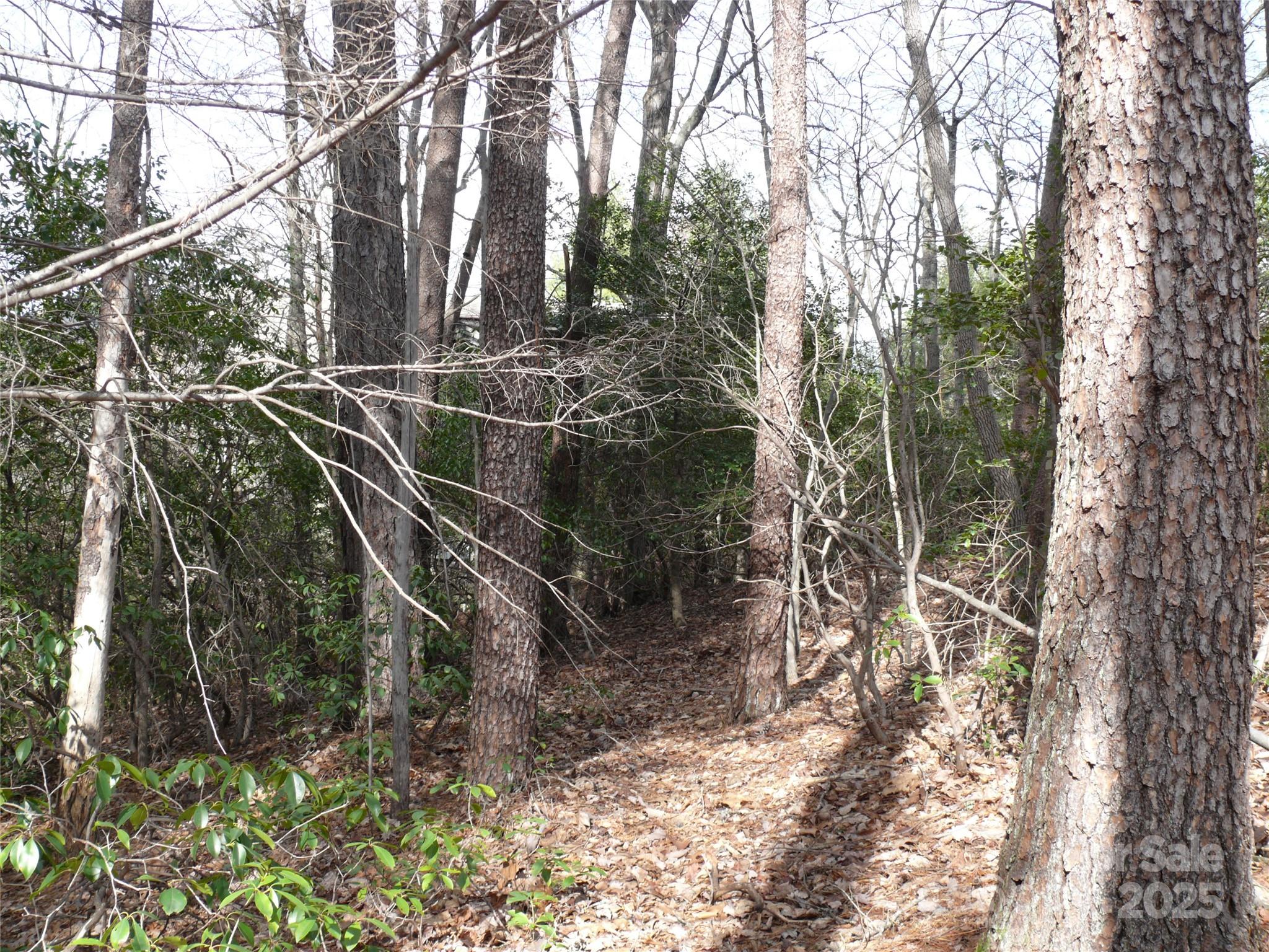 Lot 102 Shumont Estates Drive Lake Lure NC 28746