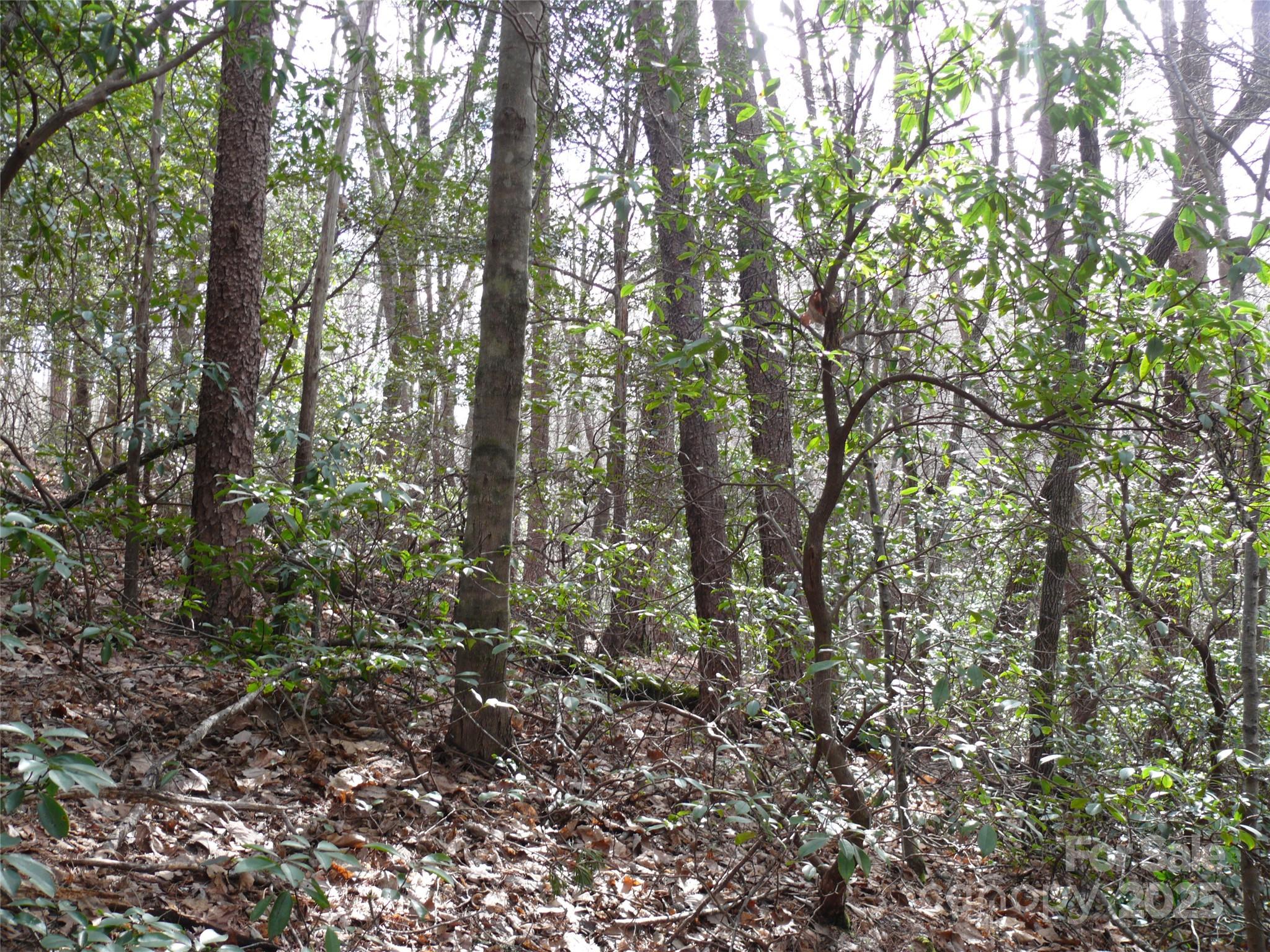 Lot 102 Shumont Estates Drive Lake Lure NC 28746