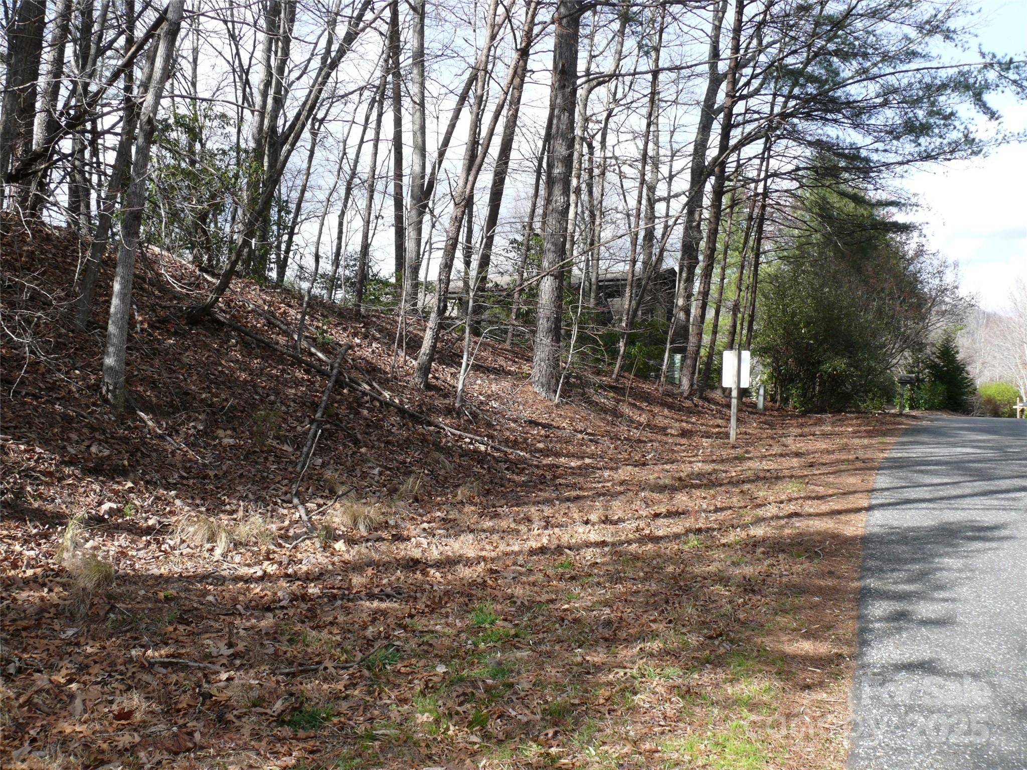 Lot 102 Shumont Estates Drive Lake Lure NC 28746