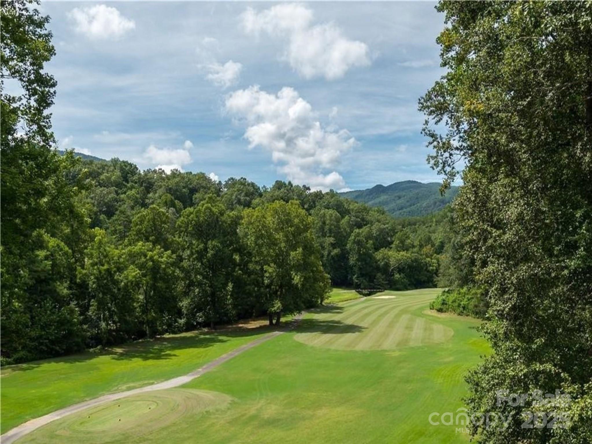 Lot 102 Shumont Estates Drive Lake Lure NC 28746