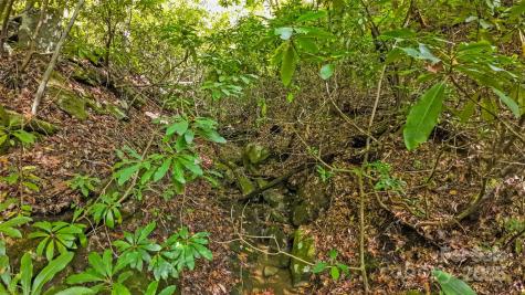 99999 Chastain Road Scaly Mountain NC 28775