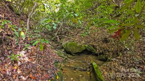 99999 Chastain Road Scaly Mountain NC 28775