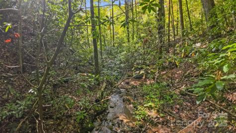 99999 Chastain Road Scaly Mountain NC 28775