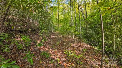 99999 Chastain Road Scaly Mountain NC 28775