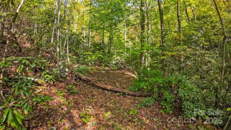 99999 Chastain Road Scaly Mountain NC 28775