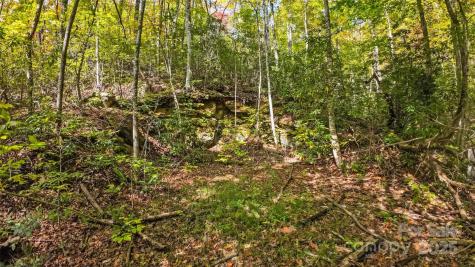 99999 Chastain Road Scaly Mountain NC 28775