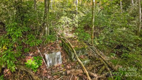 99999 Chastain Road Scaly Mountain NC 28775