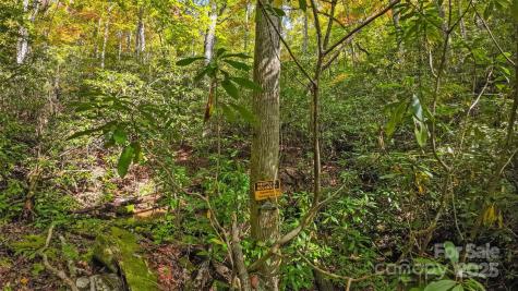 99999 Chastain Road Scaly Mountain NC 28775