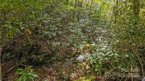 99999 Chastain Road Scaly Mountain NC 28775