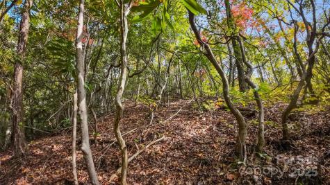 99999 Chastain Road Scaly Mountain NC 28775