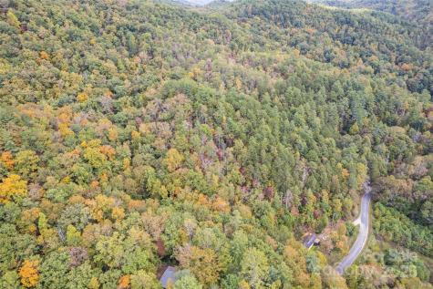 99999 Chastain Road Scaly Mountain NC 28775