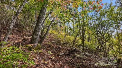 99999 Chastain Road Scaly Mountain NC 28775