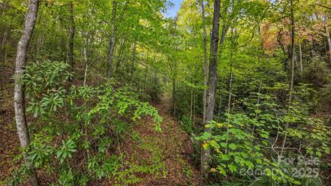 99999 Chastain Road Scaly Mountain NC 28775