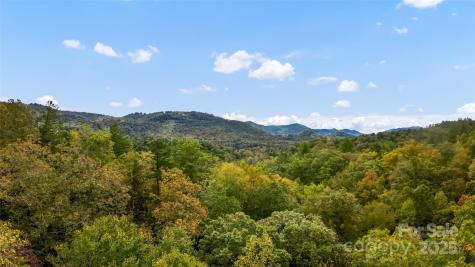 99999 Chastain Road Scaly Mountain NC 28775