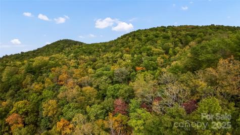 99999 Chastain Road Scaly Mountain NC 28775