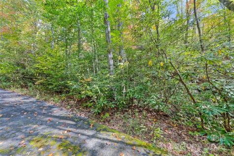 99999 Chastain Road Scaly Mountain NC 28775