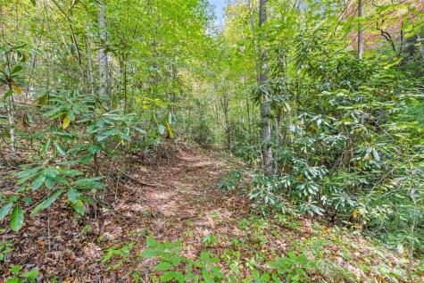 99999 Chastain Road Scaly Mountain NC 28775