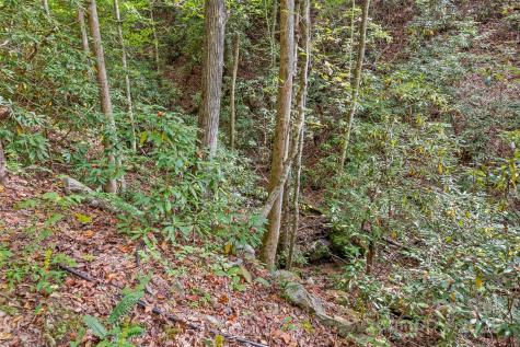 99999 Chastain Road Scaly Mountain NC 28775