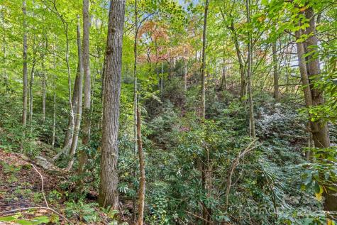 99999 Chastain Road Scaly Mountain NC 28775