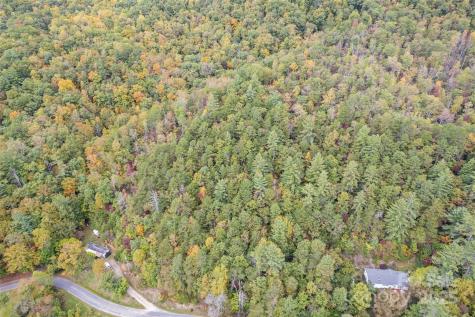 99999 Chastain Road Scaly Mountain NC 28775