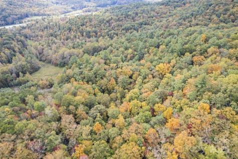 99999 Chastain Road Scaly Mountain NC 28775